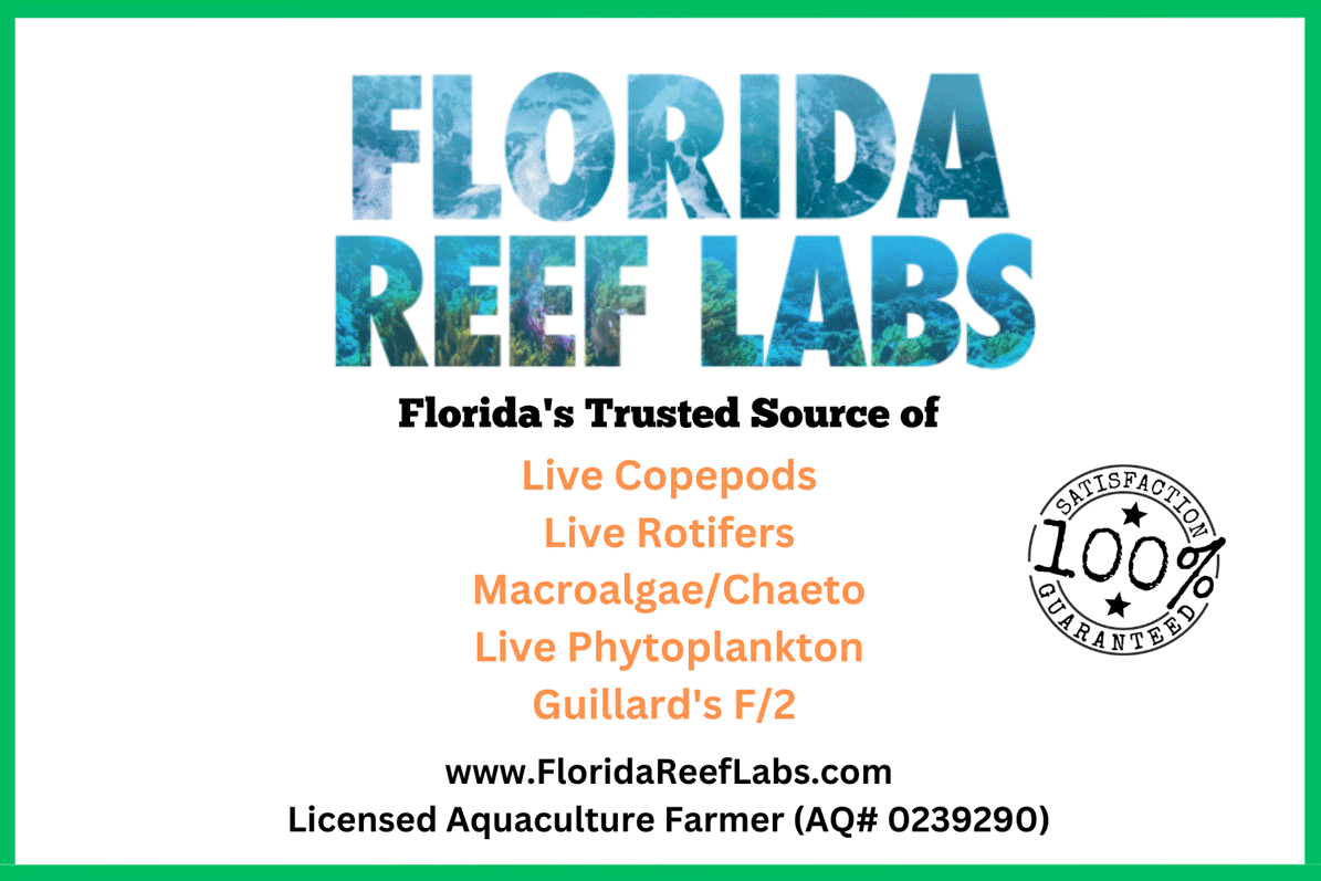 LIVE Copepods Apocyclops (aka Apex/Apocalypse) - 16oz - Florida Reef Labs®