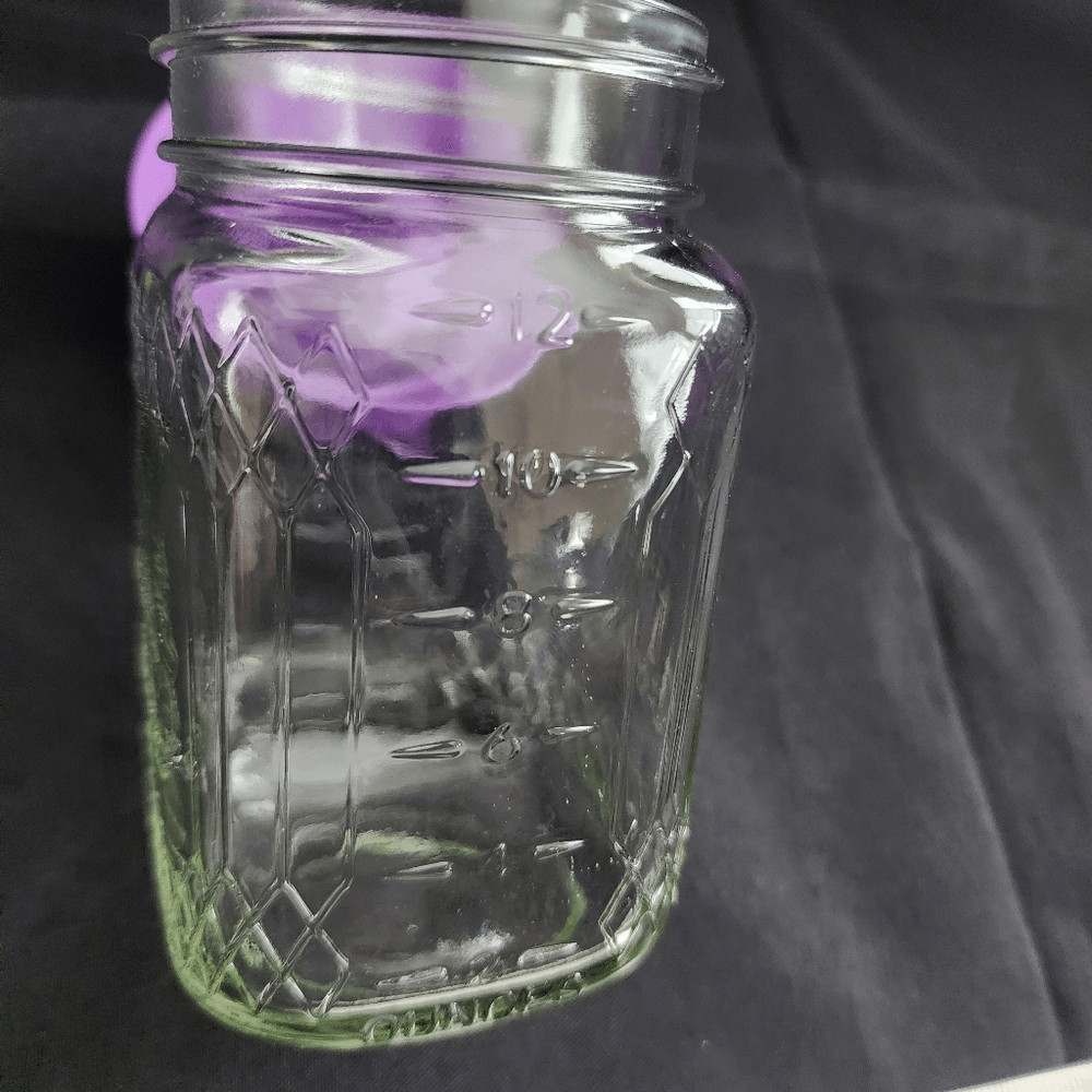 CROWN ROYAL 12 oz Mason Jar Juicer