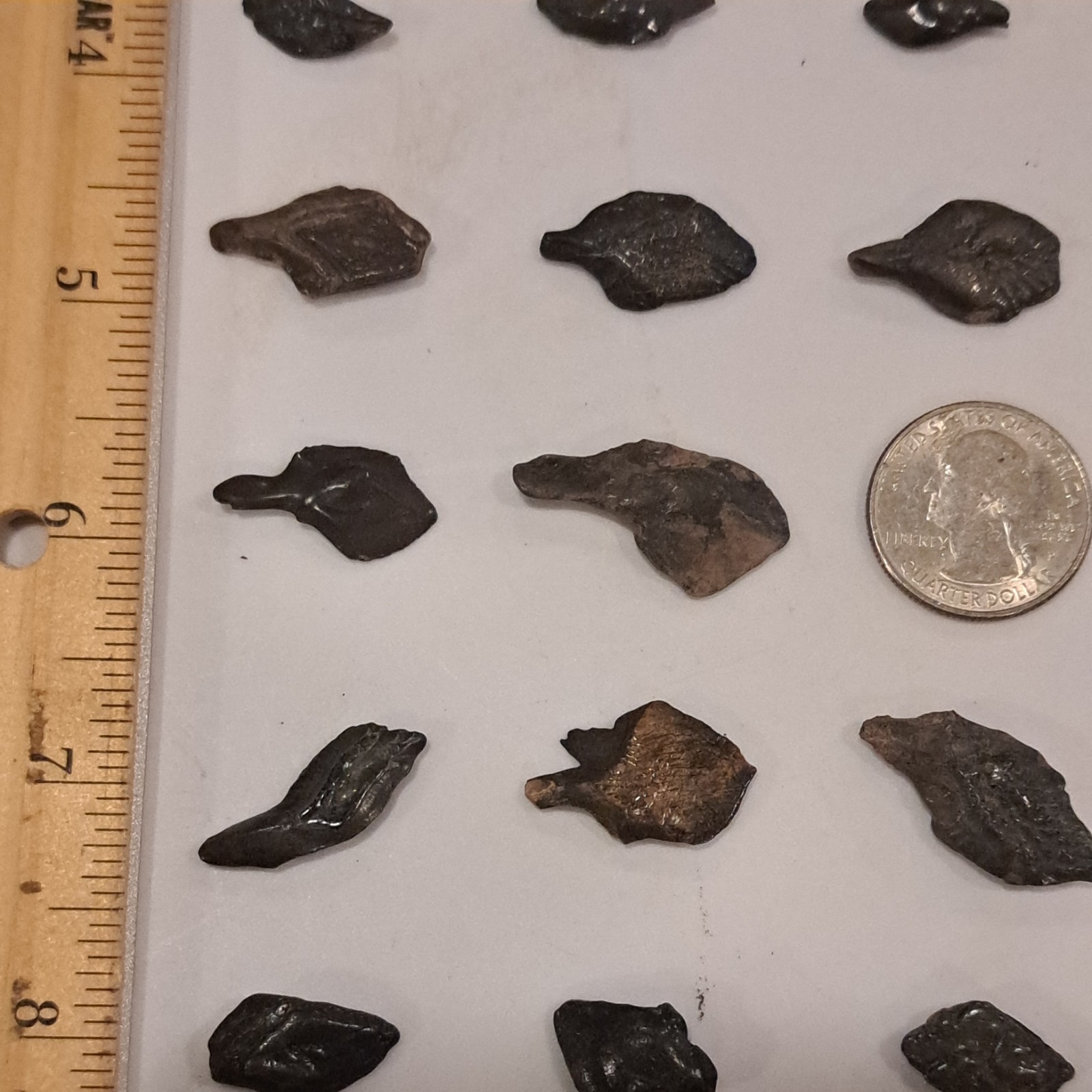 44 ALLIGATOR GAR SCALES FLORIDA FOSSILS ICE AGE EXTINCT FISH BONES TOOTH TEETH @