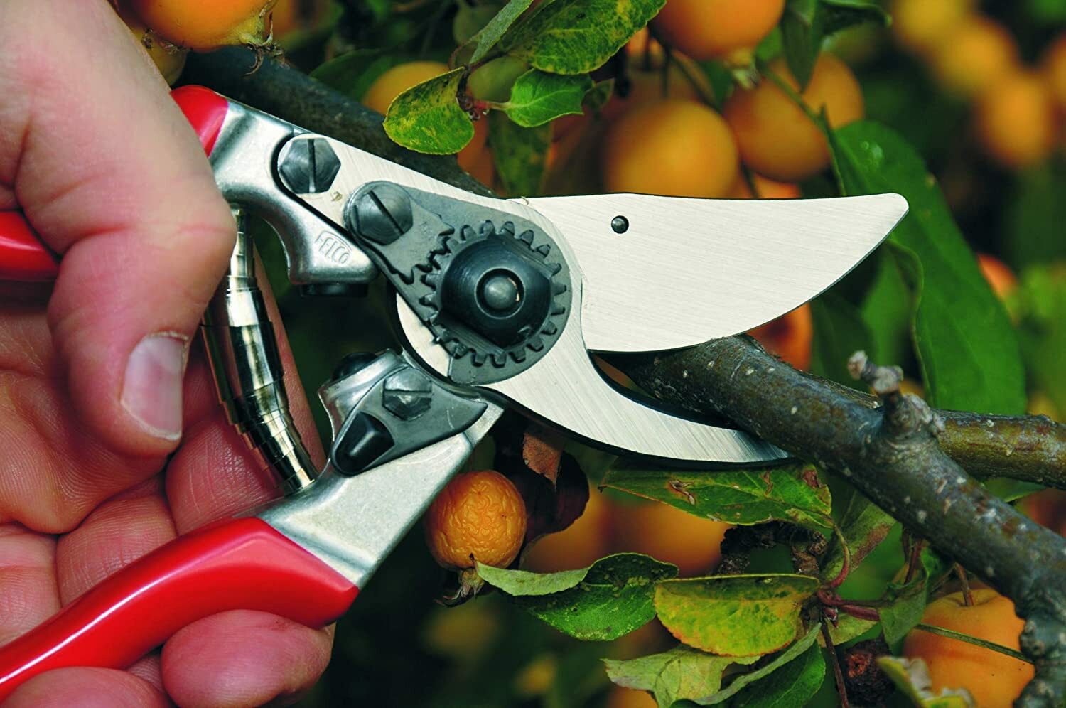 Felco F9 - High Performance Swiss Made Left-Handed Garden Pruners