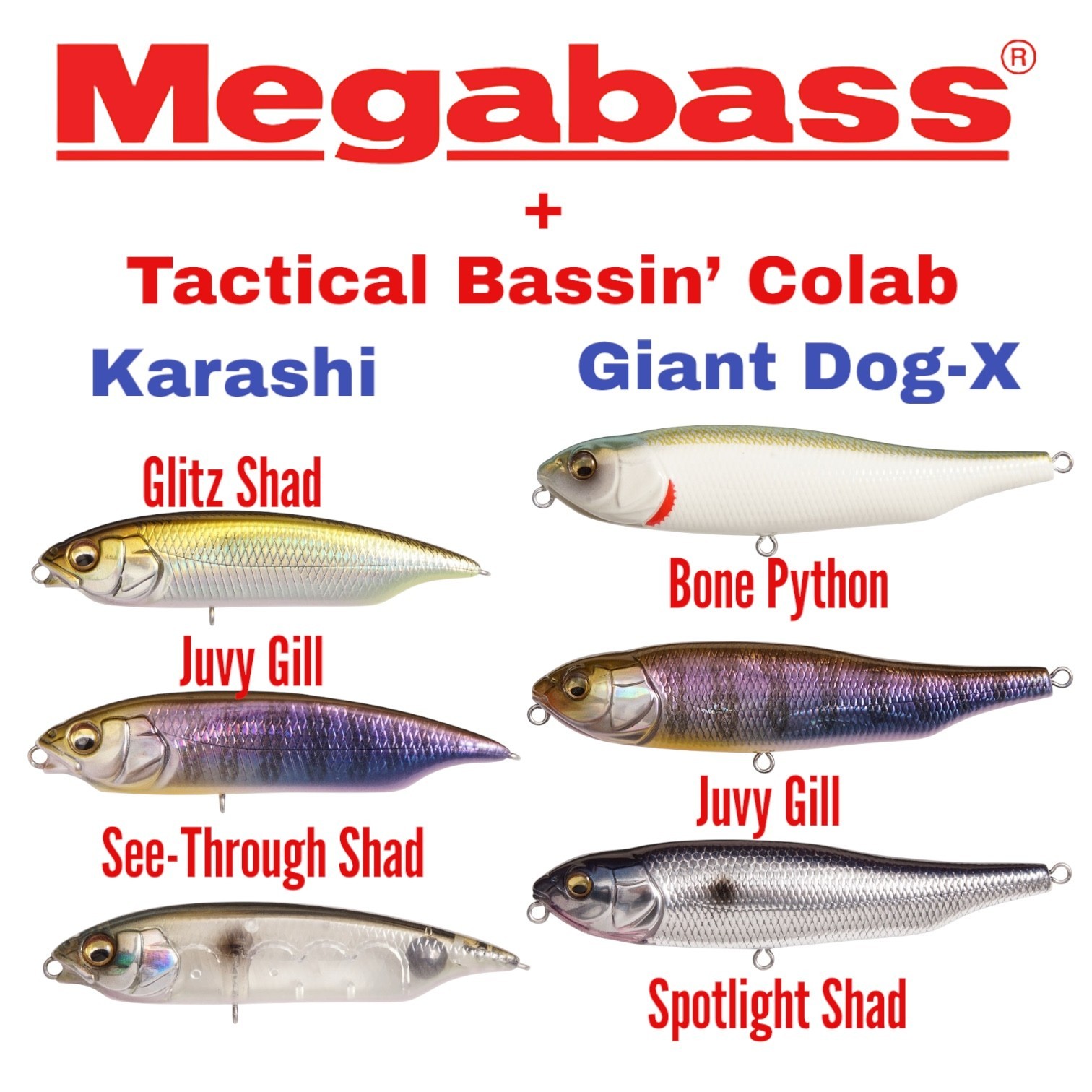 Megabass - Tactical Bassin' Collab Giant Dog-X & Karashi - Choose Model & Color