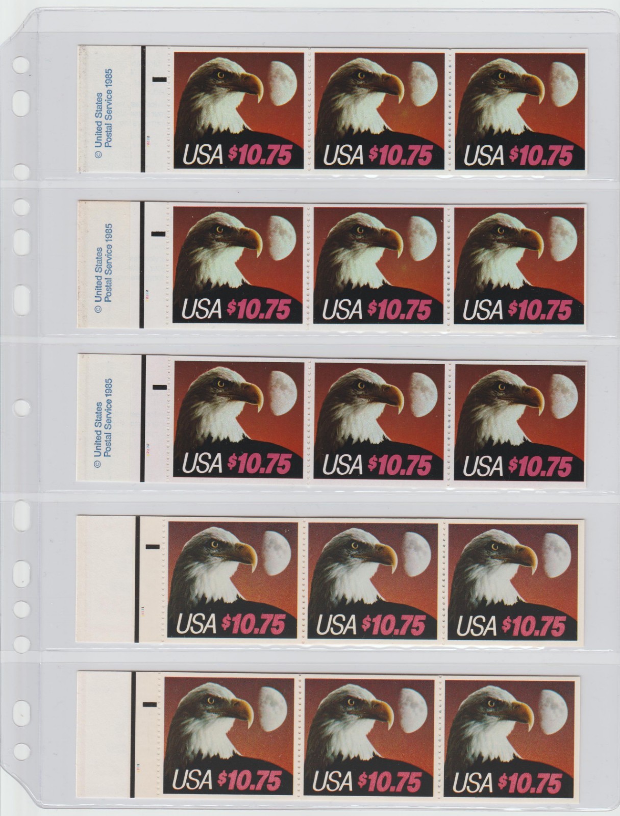 30 Anchor 5C ( 5-rows) Crystal-Clear Stock Sheets / Single Sided- FREE Shipping.