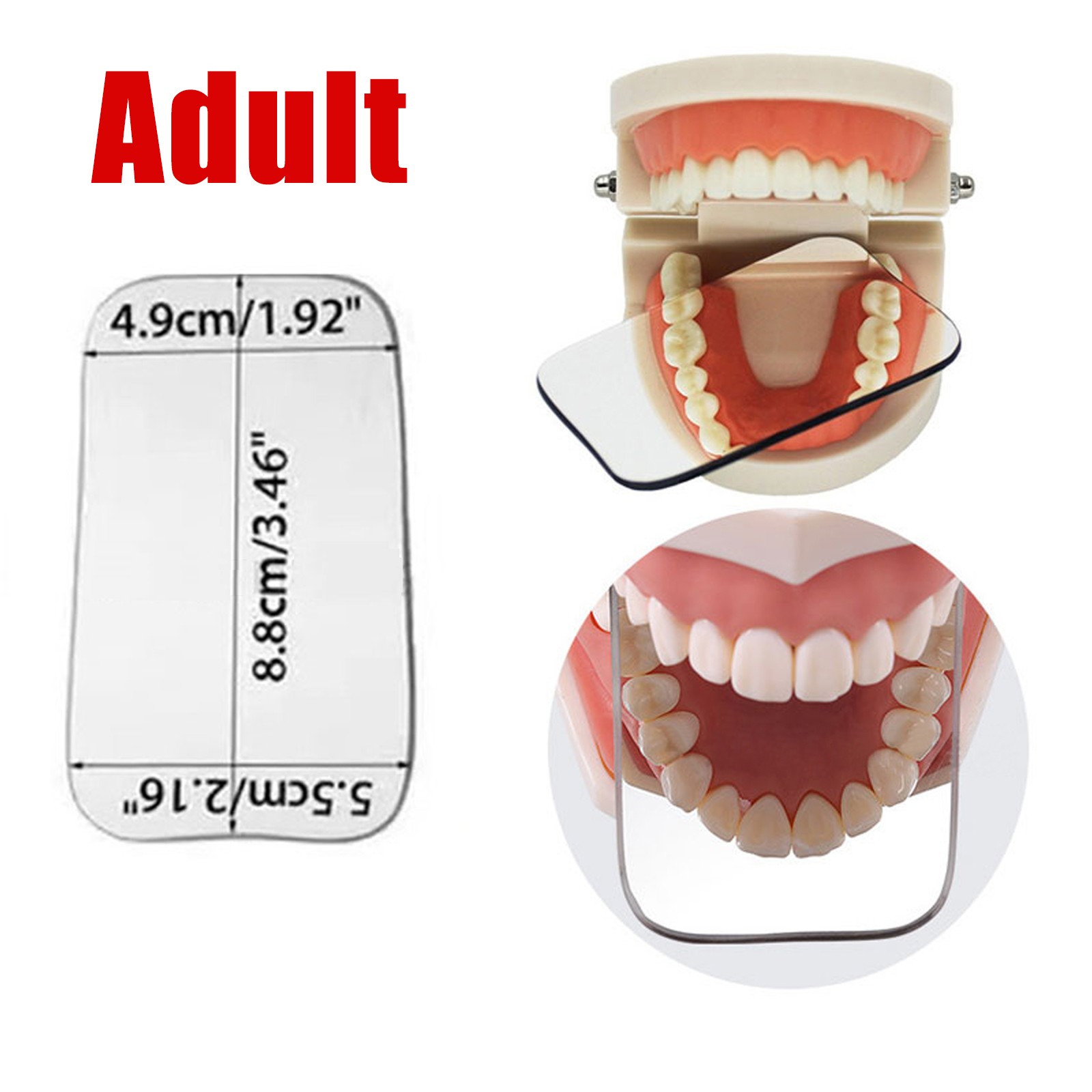 Dental Intraoral Orthodontic Occlusal 2Side Photographic Glass Mirror Photograpy