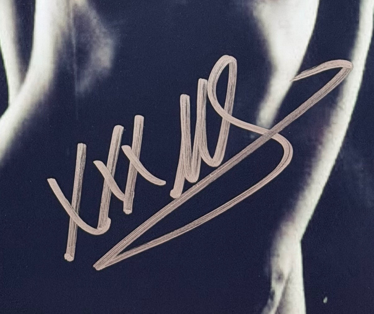 Taylor Momsen Signed 8x11.5 Photo The Pretty Reckless Autograph