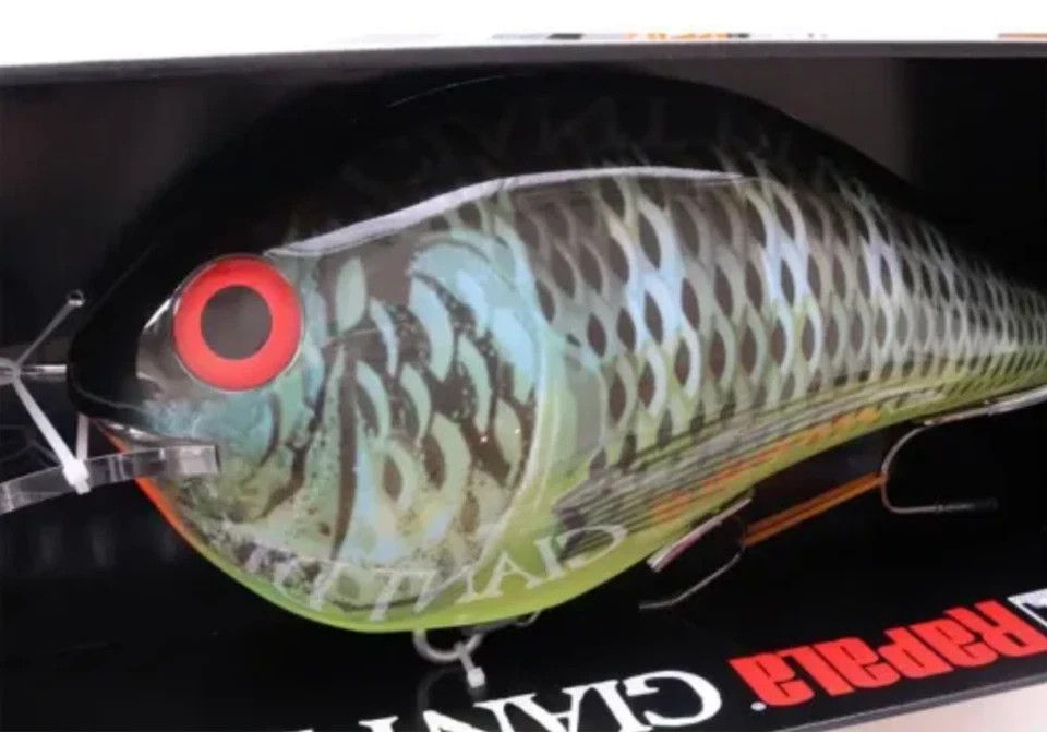 Rapala Giant Lure DT Tilapia - RGDT-TIL + Display Box - Collector