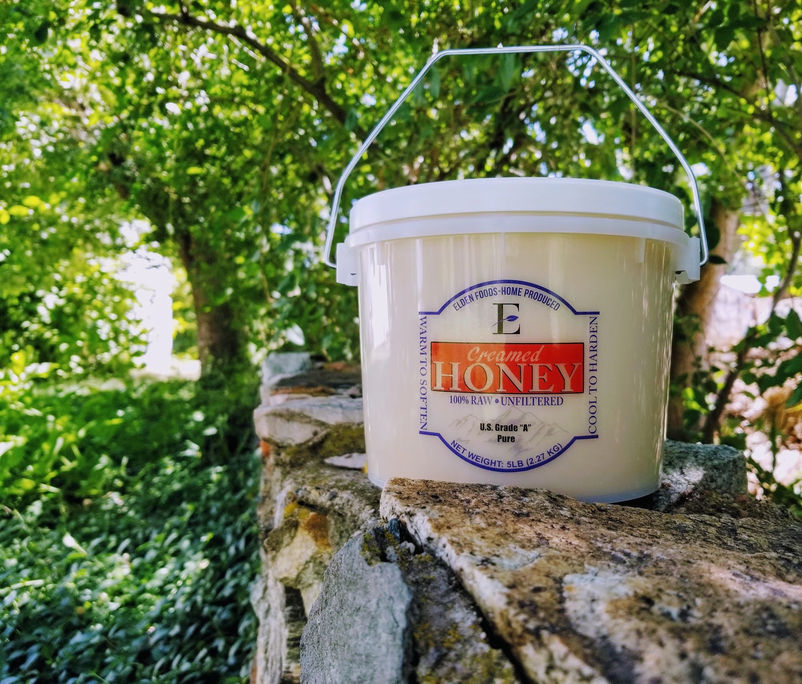 100% Pure Honey - Creamed!!! Raw and Unfiltered - Real Natural Honey