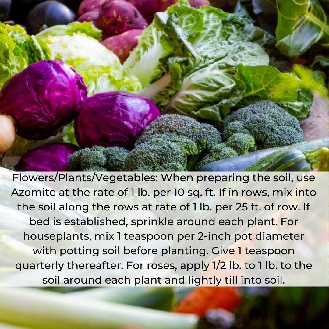 44 Pound AZOMITE Volcanic Ash Rock Dust Powder -67 Trace Minerals - Original Bag