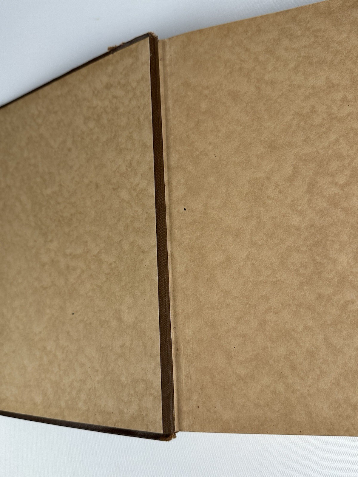 Livingston County Illinois Pontiac Fairbury Streator Cornell IL WWI History Book