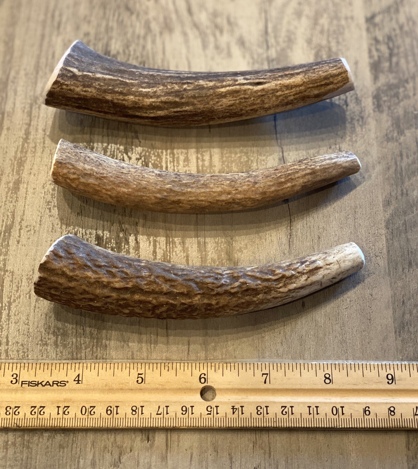(3 PACK) MEDIUM  Elk/Deer Antler Premium Dog Chews **OREGON ANTLER WORKS**