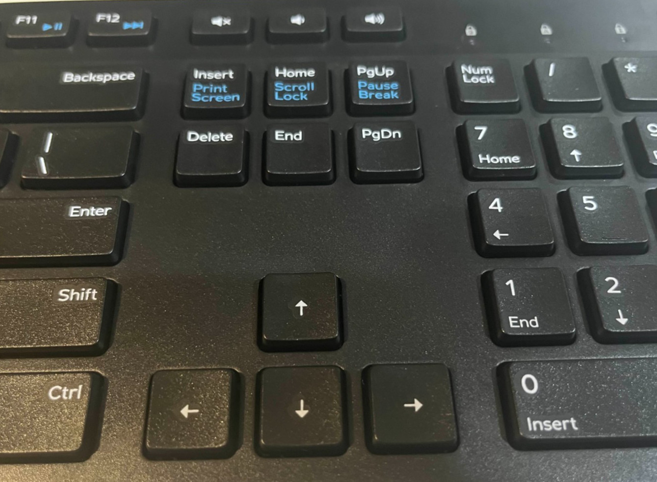 New Dell Wired USB Keyboard KB216d, KB216p Black Quiet Keys