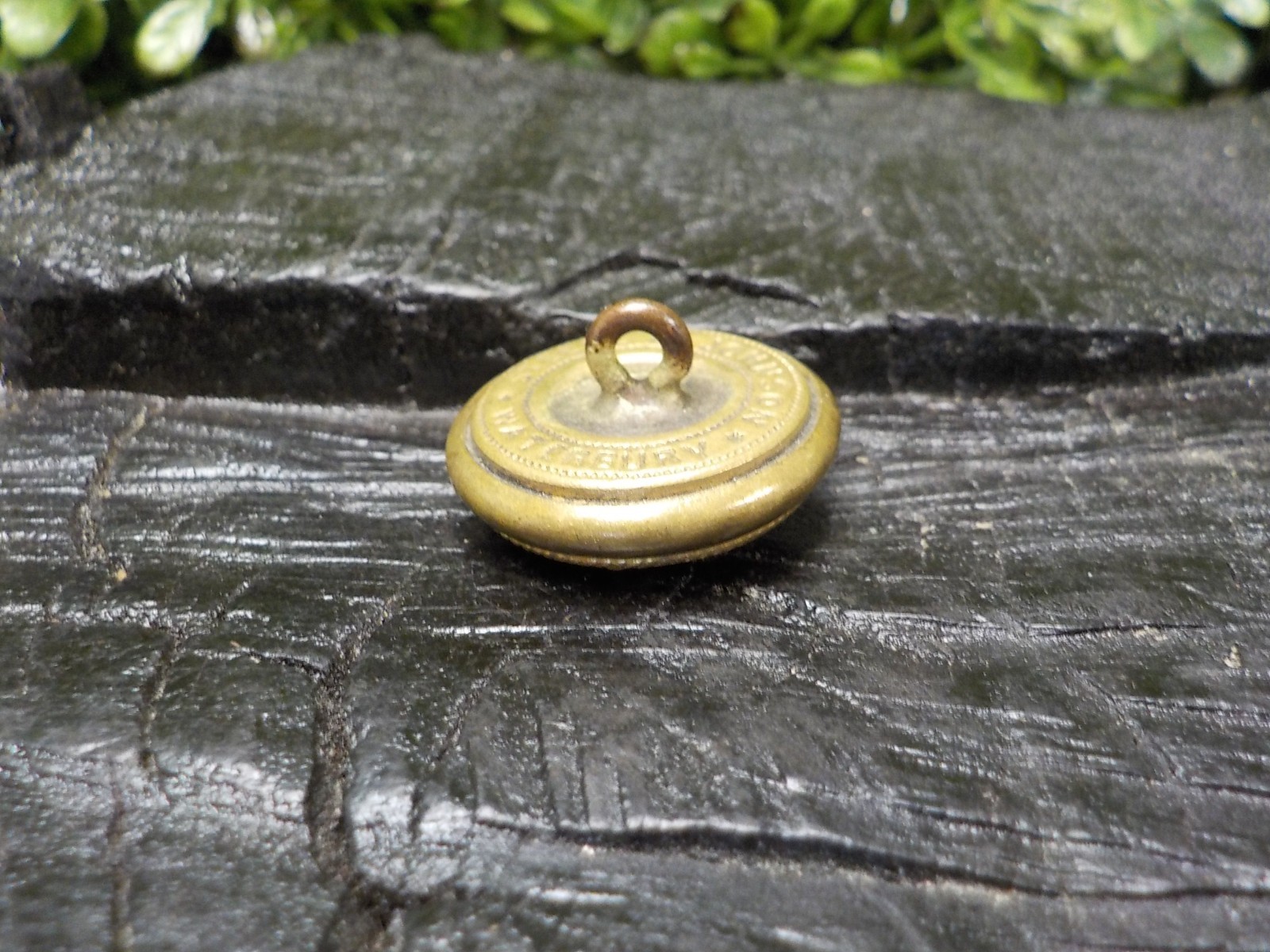 Old Rare Vintage Antique War Relic Texas Coat Button Free Display Case