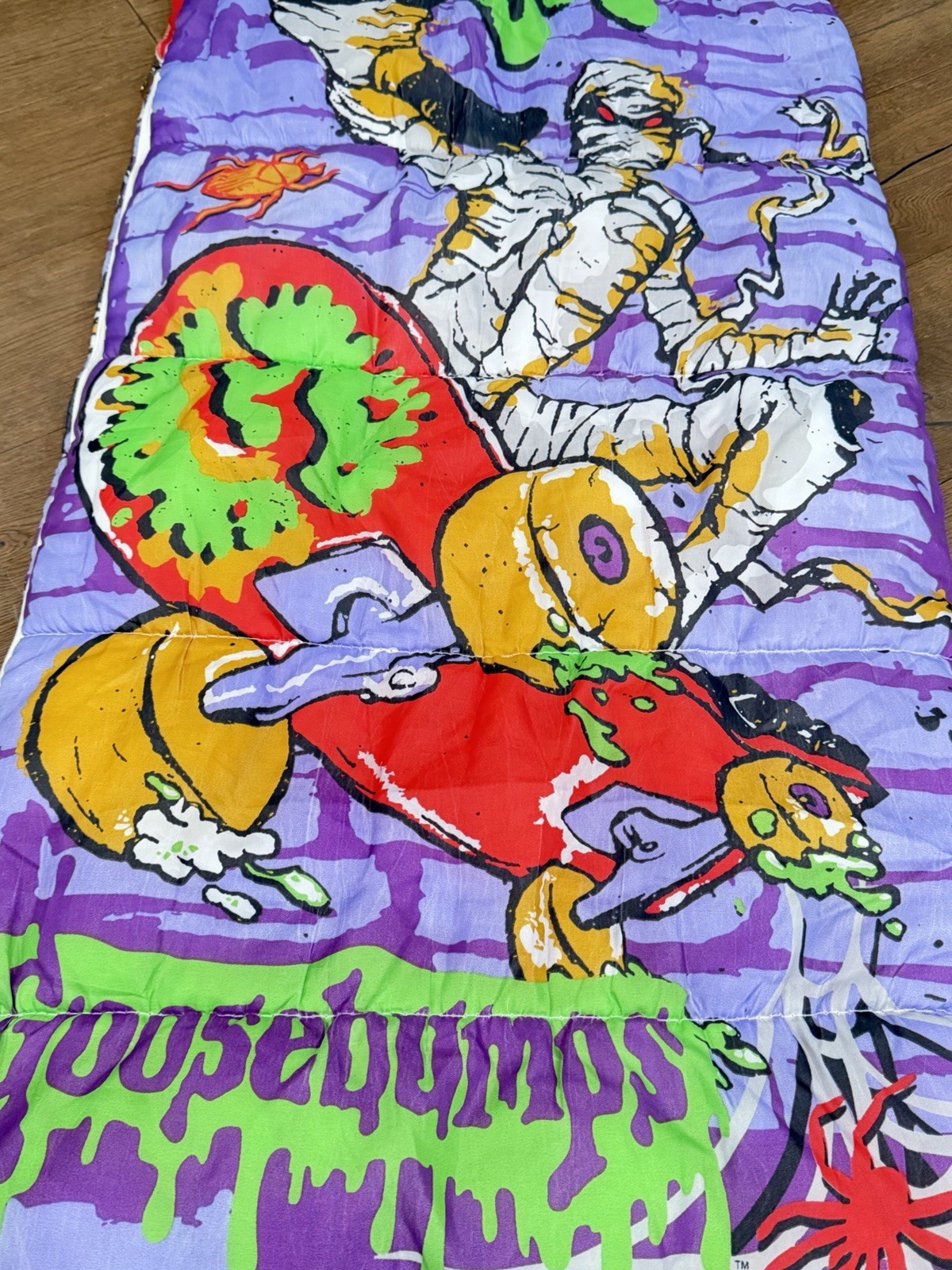 Vintage Goosebumps Skateboarding Mummy Sleeping Bag RL Stine Halloween 27x54
