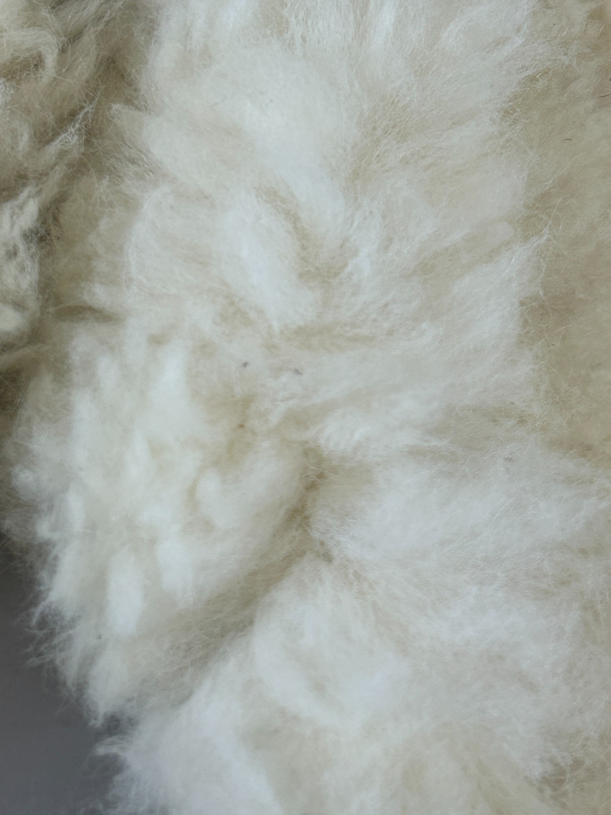 Set of 2 Alpaca Fur Round Rug Wall Hanging Decoration Pillow Cover 18" Peru