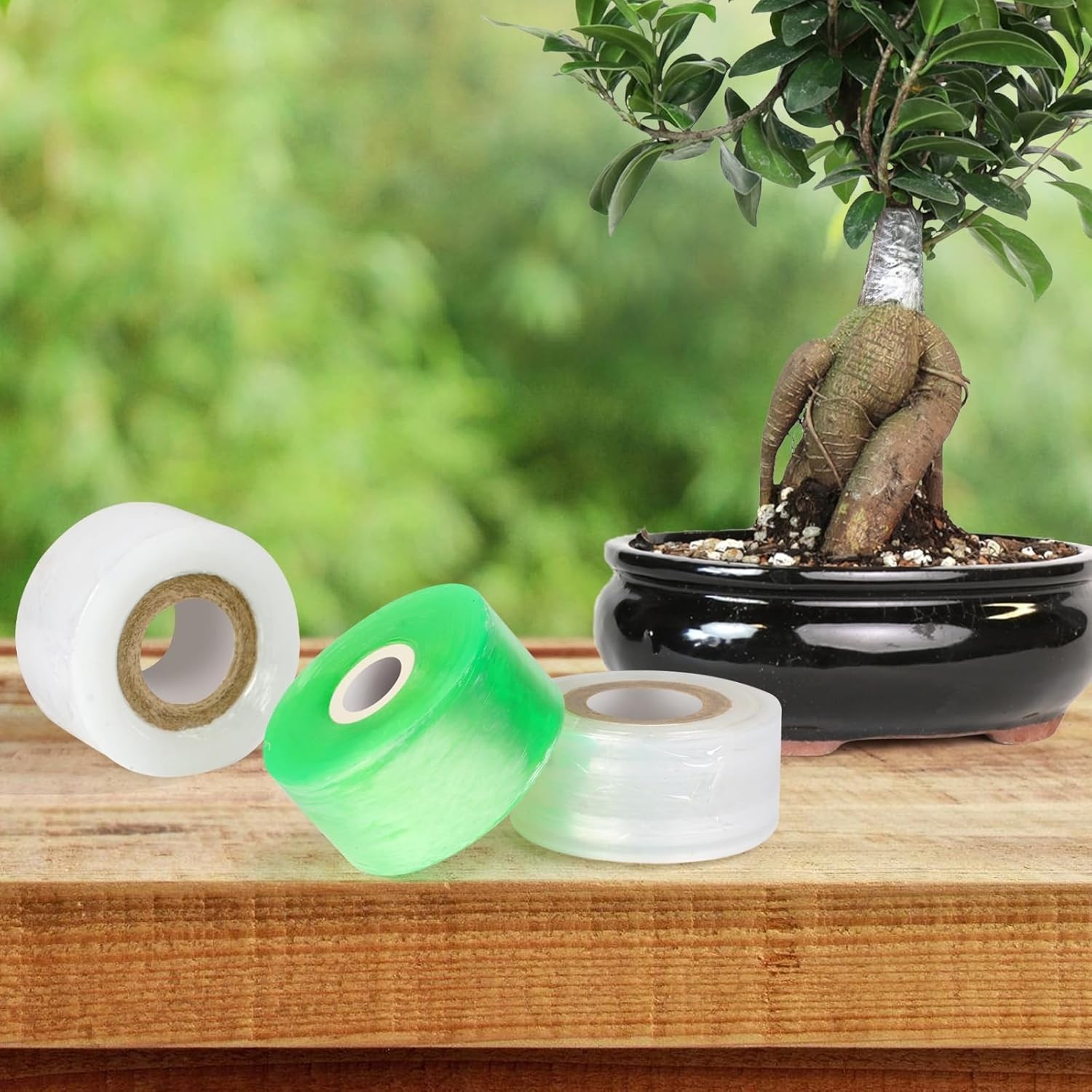 3 Rolls Grafting Tape Stretchable Garden Plants Repair Tape for Fruits Tree