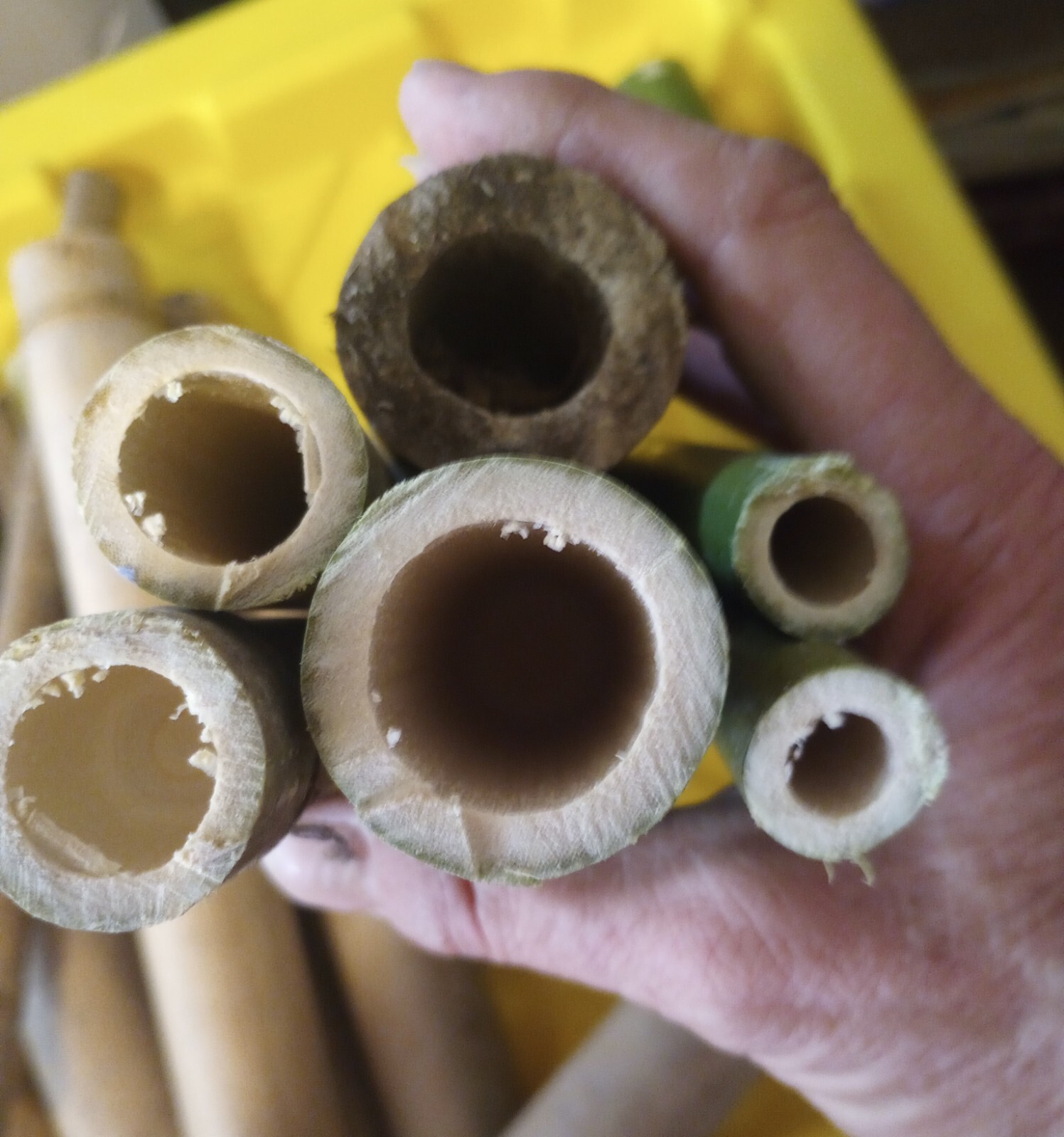 10 Bamboo 12" Poles Variety Sizes Decoration Tiki 1' Make Your Own Bee Hive