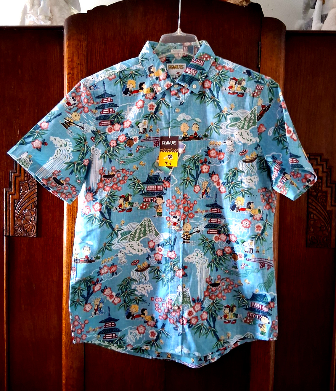 Reyn Spooner Peanuts in Japan Men's Aqua Button Front Shirt
