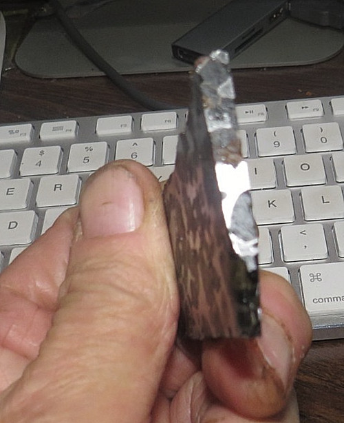 30 gm SERICHO pallasite Meteorite slice translucent from Kenya std olivine JAL