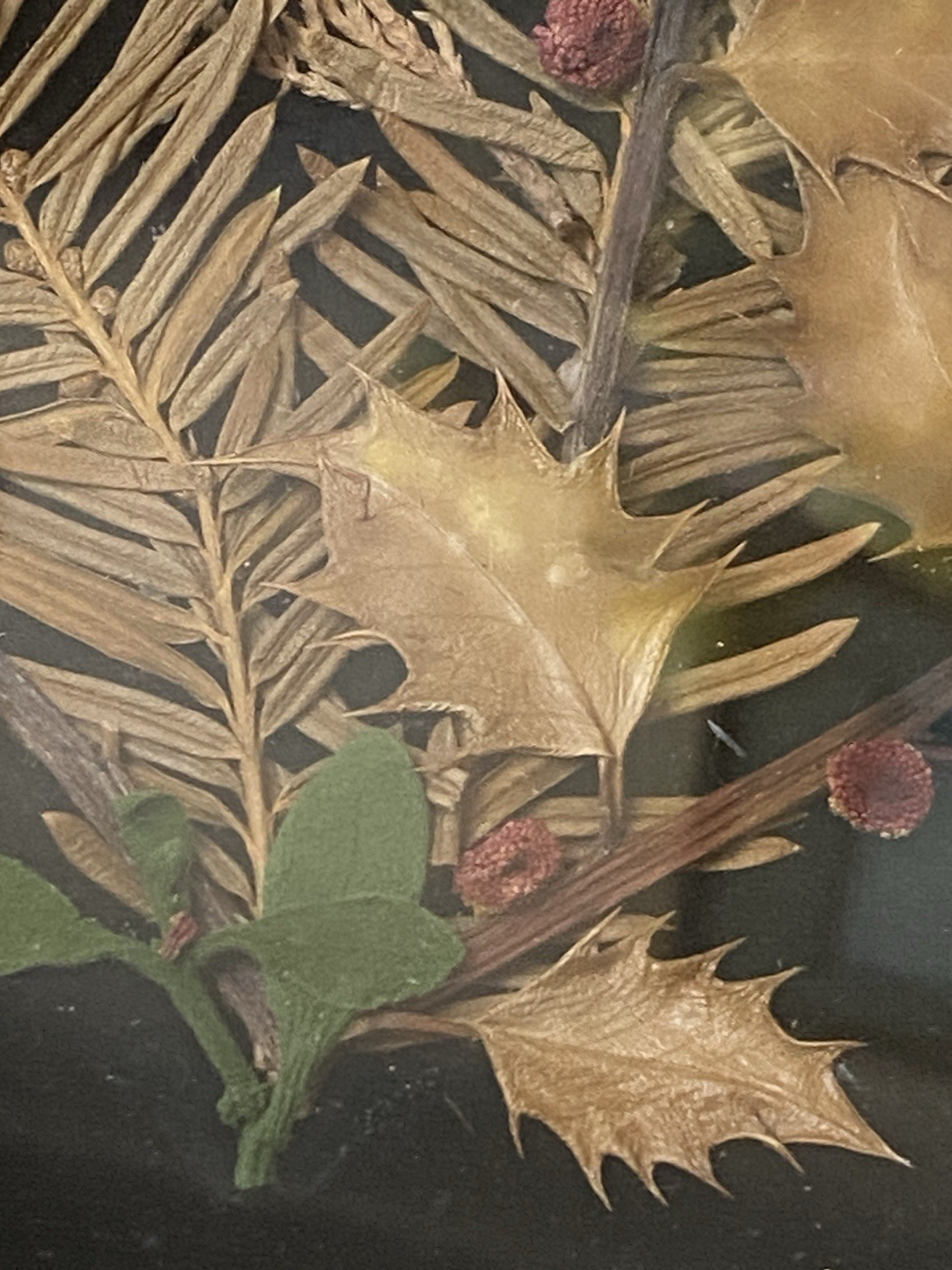 Set of 4 Framed Pressed Flower Art/Wall Decor