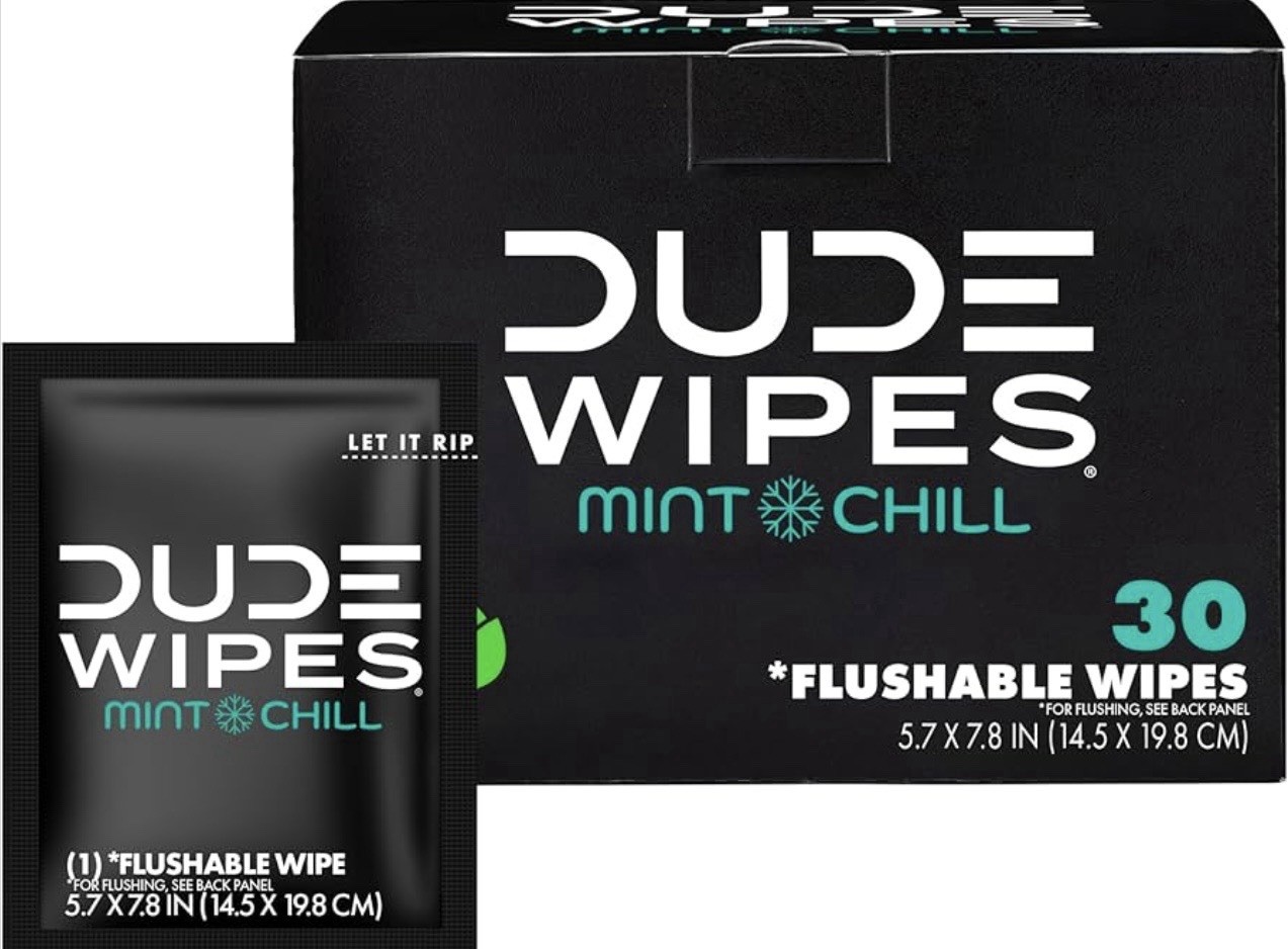 DUDE Wipes - On-The-Go Flushable Wipes - 1 Pack, 30 Wipes - Mint Chill Extra-Lar