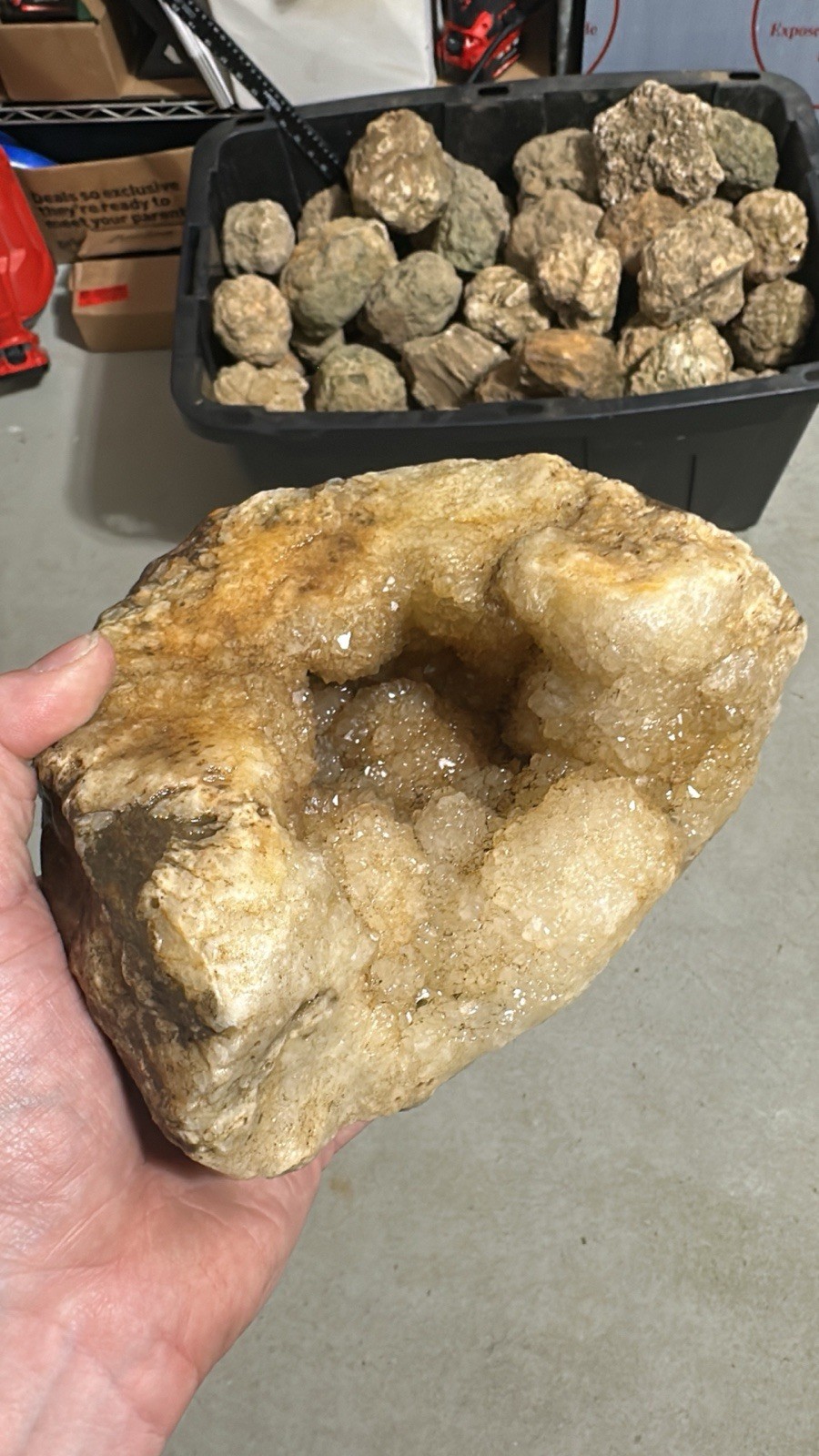 Box Of 10 Whole Natural Kentucky Geodes. FAST FREE SHIPPING! Read Description.
