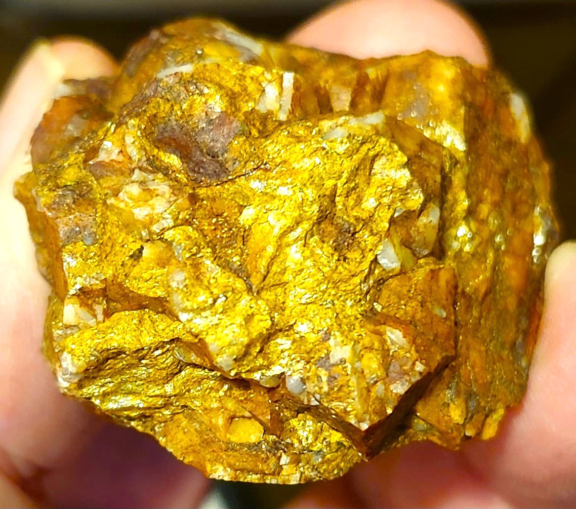 Gold Ore Specimen /Quality Visible Gold