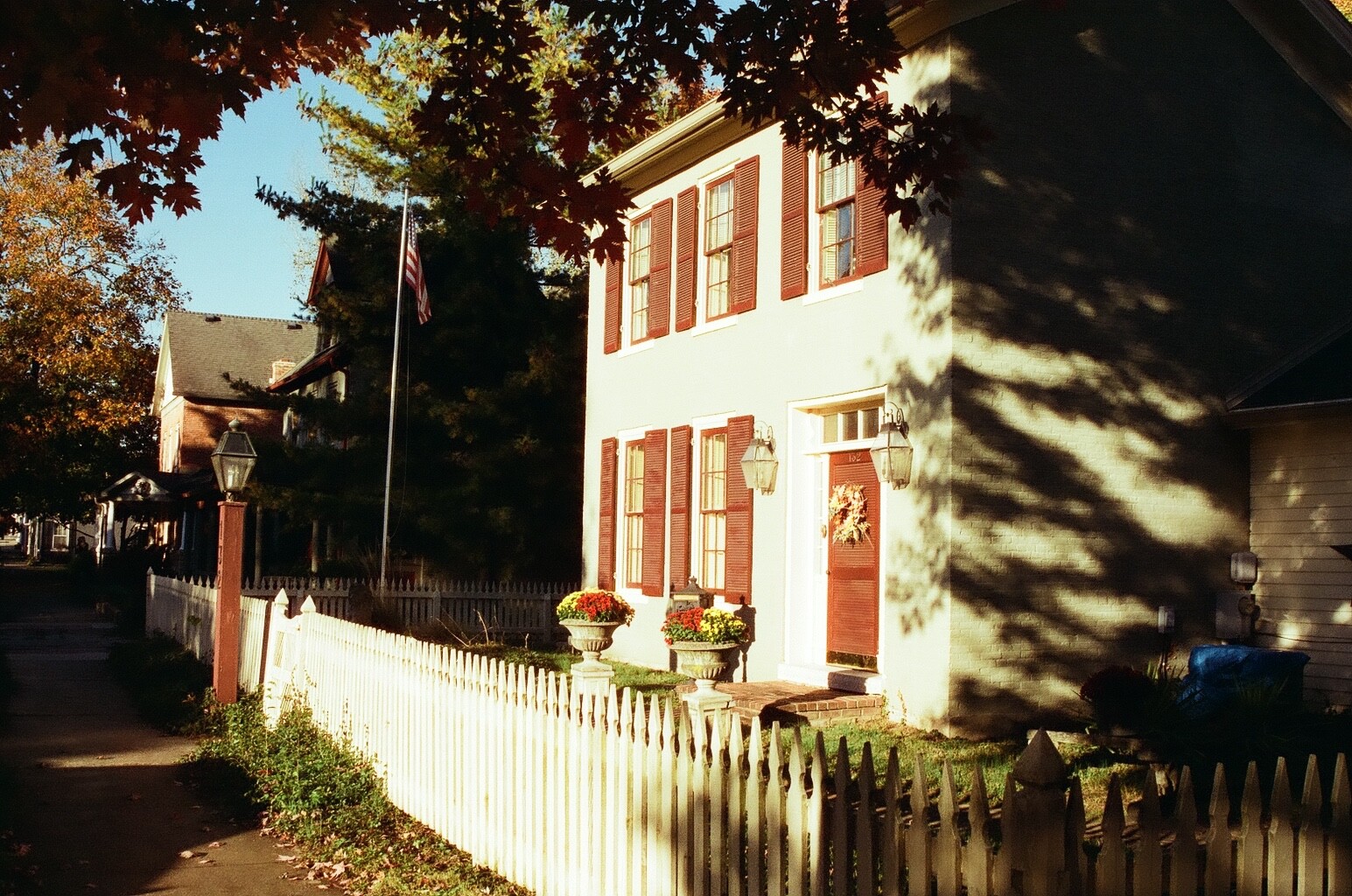 Cyberpunk 400D 36 exp C41 35mm Color Negative Film NO REMJET Kodak Vision3 250D