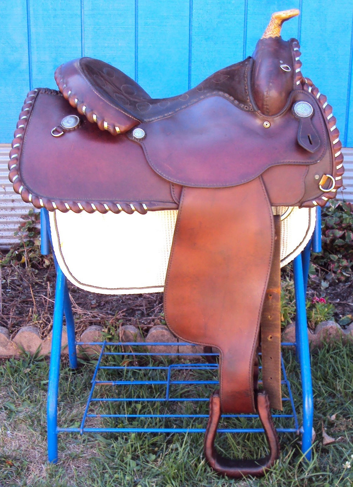 CIRCLE Y Western Show Saddle - 15" - SILVER CONCHOS - Padded Seat - BEAUTIFUL!