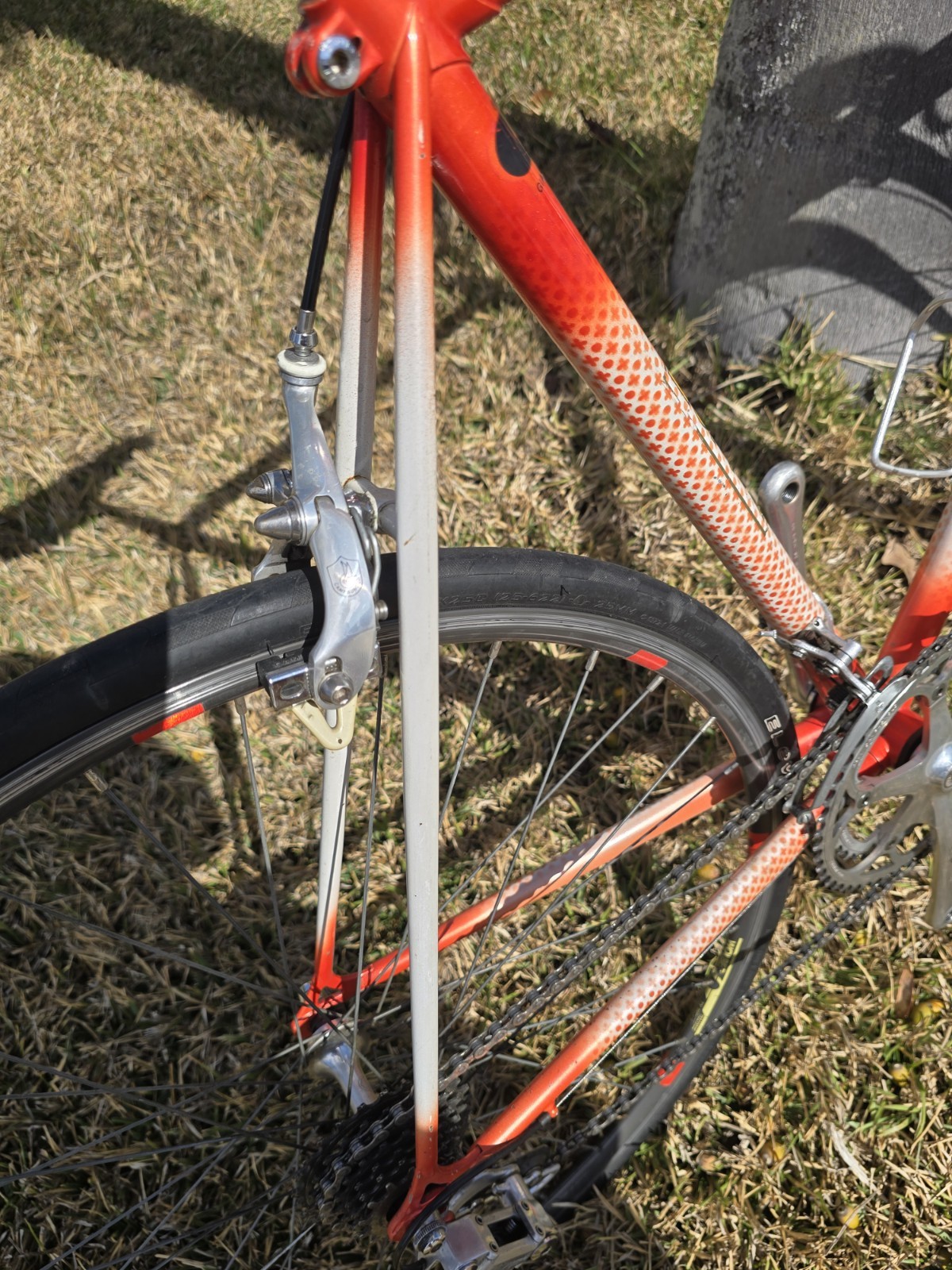 Gianni Motta Bike with Campagnolo Parts 53cm