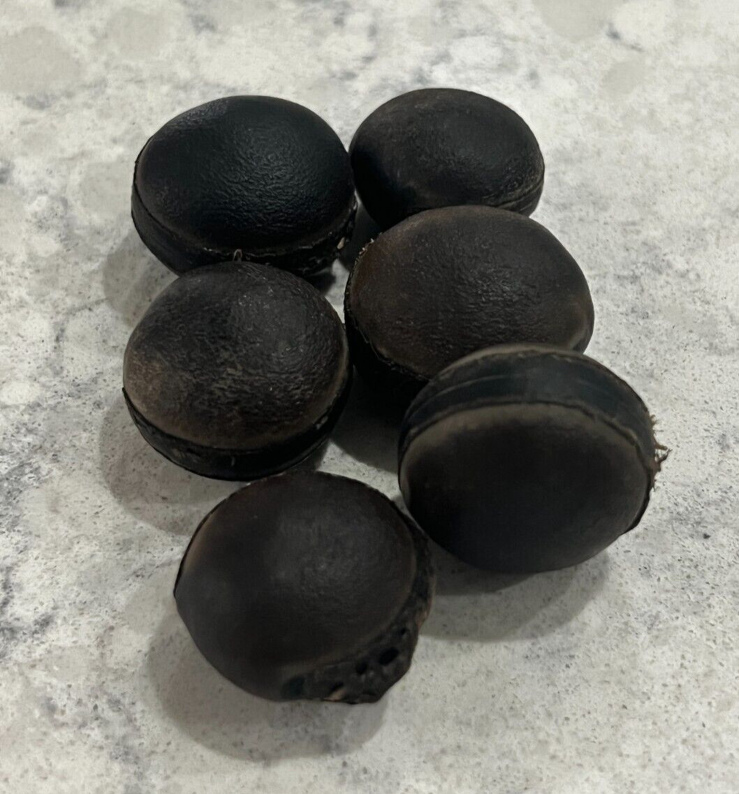 6 bulls eye seed, religion ifa, 6 semilla de Ojo de Buey, santeria, protection