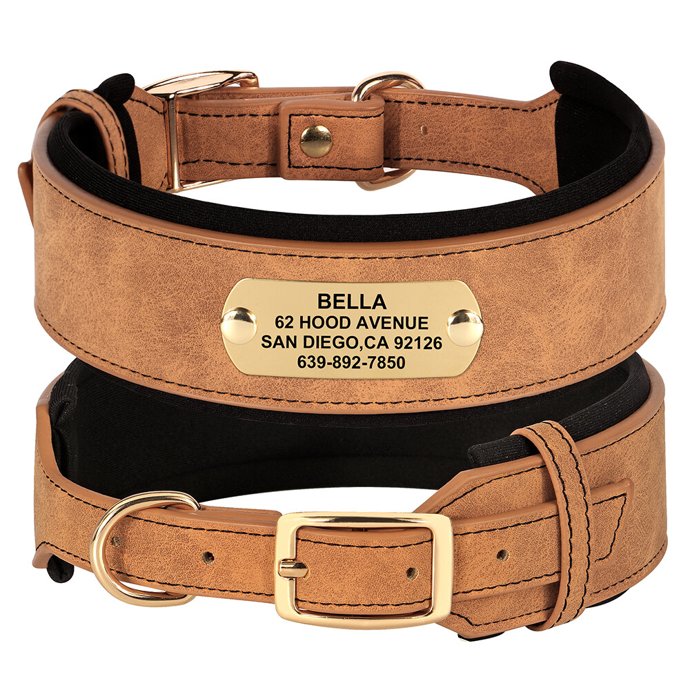 Wide Leather Dog Collar Personalized Nameplate Soft Padded for Large Dogs M-XL