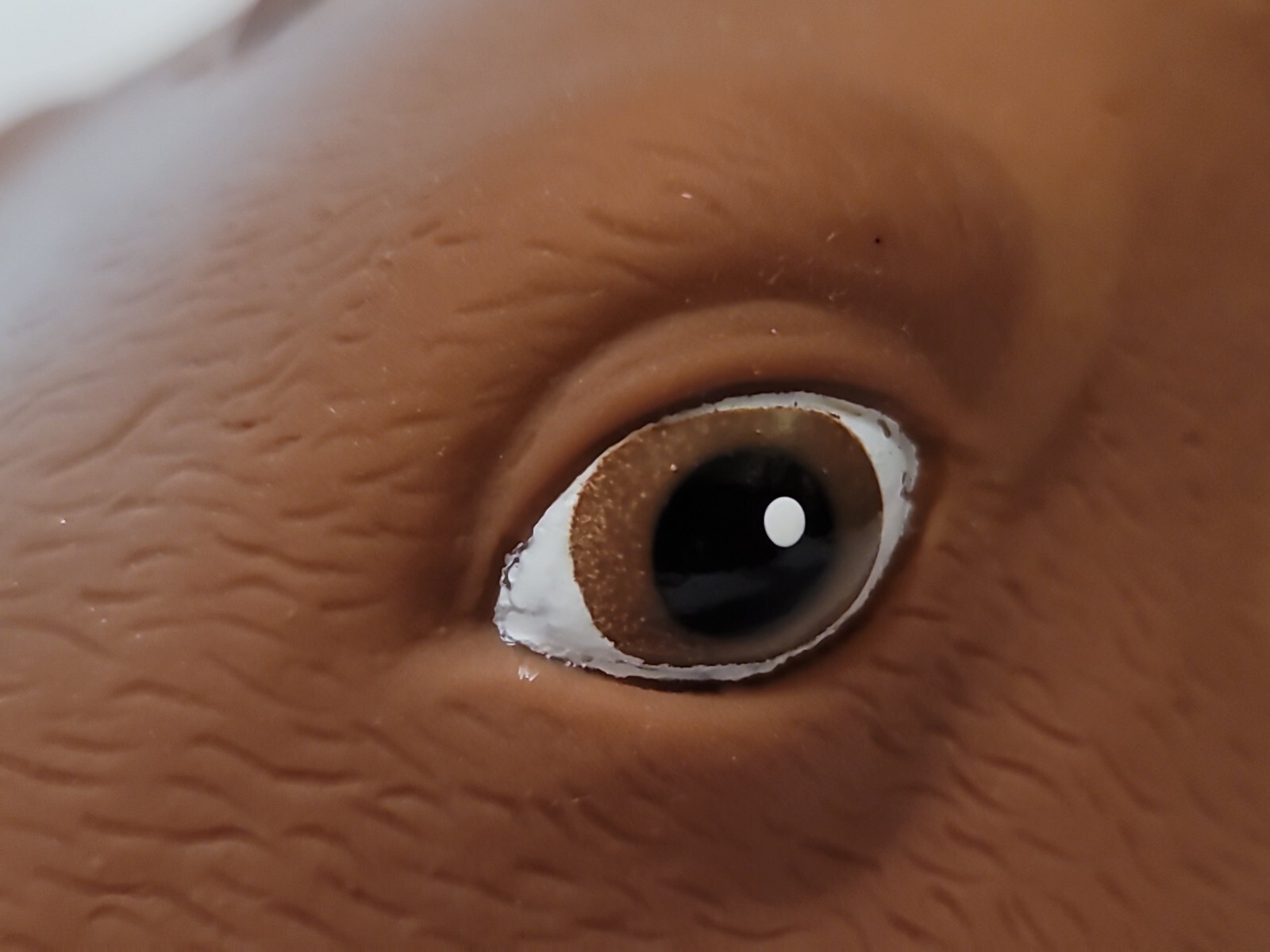 Squirrel Feeder NIB Horse Head Archie McPhee Accoutrements Big Head Animal