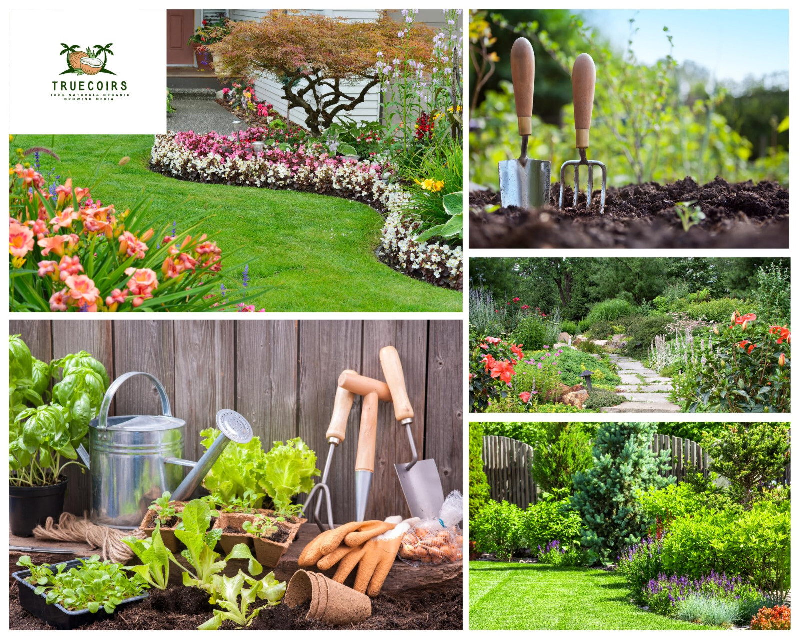 10LB CocoCoir Block Coconut Fiber Potting Soil Plant Organic Growing Media