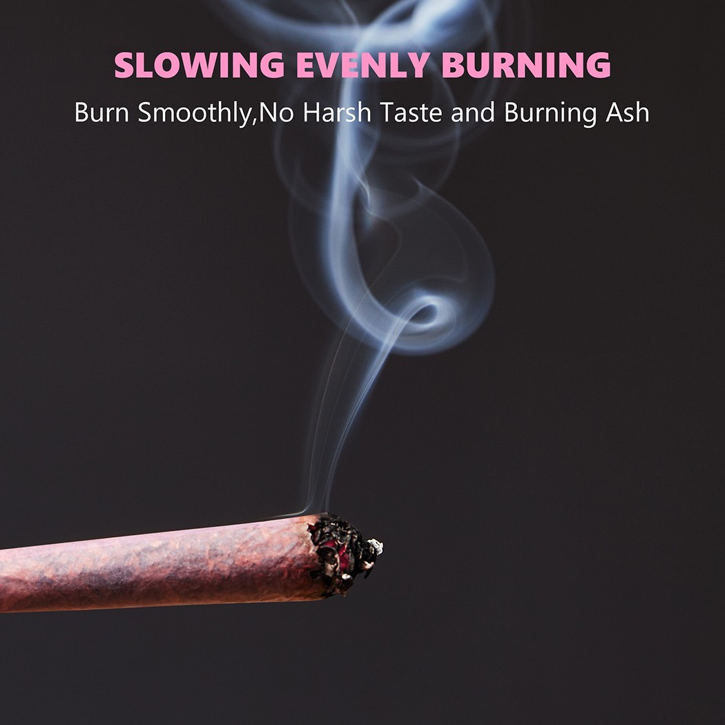 100Pack 1 1/4 Size W/Filter Tip Pre Rolled Cones with Cone Loader Stick and Tube