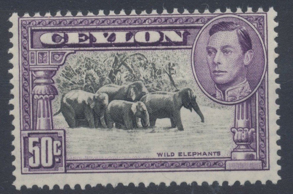 Ceylon Stamps 1938 50c Black & Mauve Perf 13 x 13.5 Mint Never Hinged CV £450