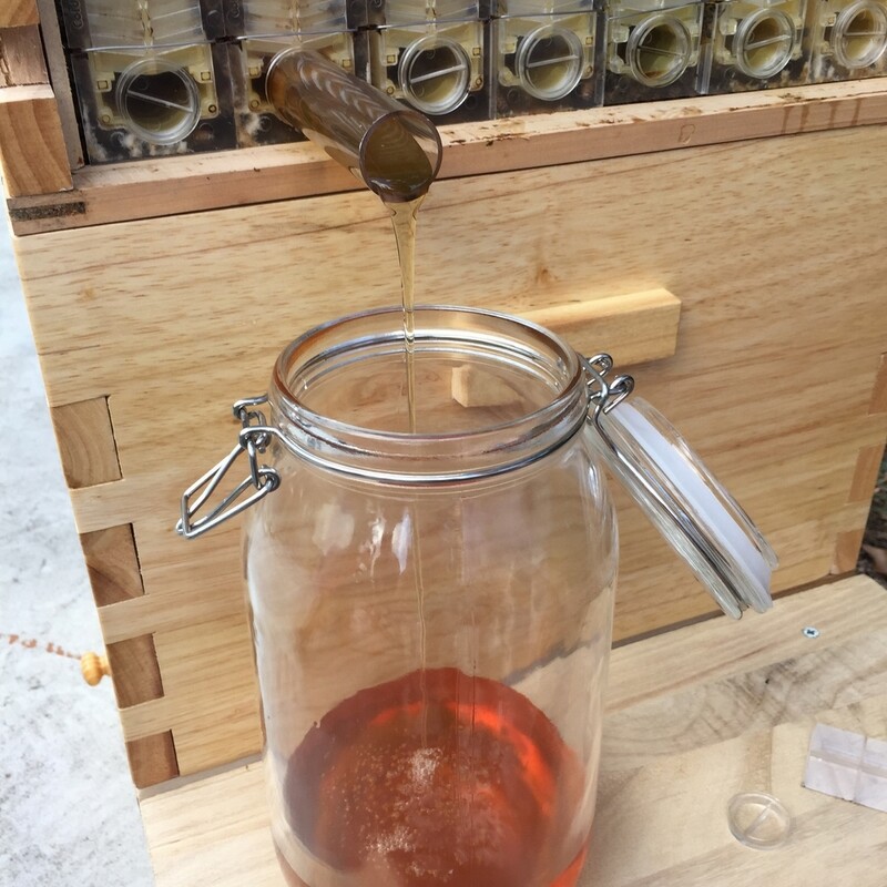 Auto Bee Hive Boxes Beehives+ 7x Bee Frames Honey Bee House Beekeeping Beekeeper