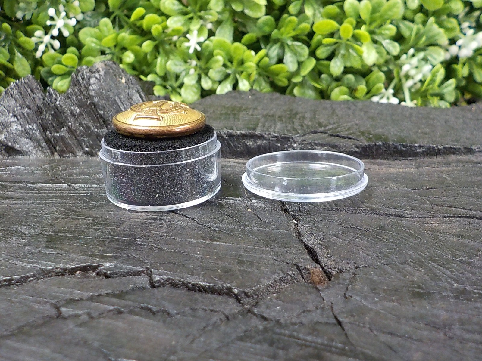 Old Rare Vintage Antique War Relic Military Musician Coat Button Loaded w/ Gold