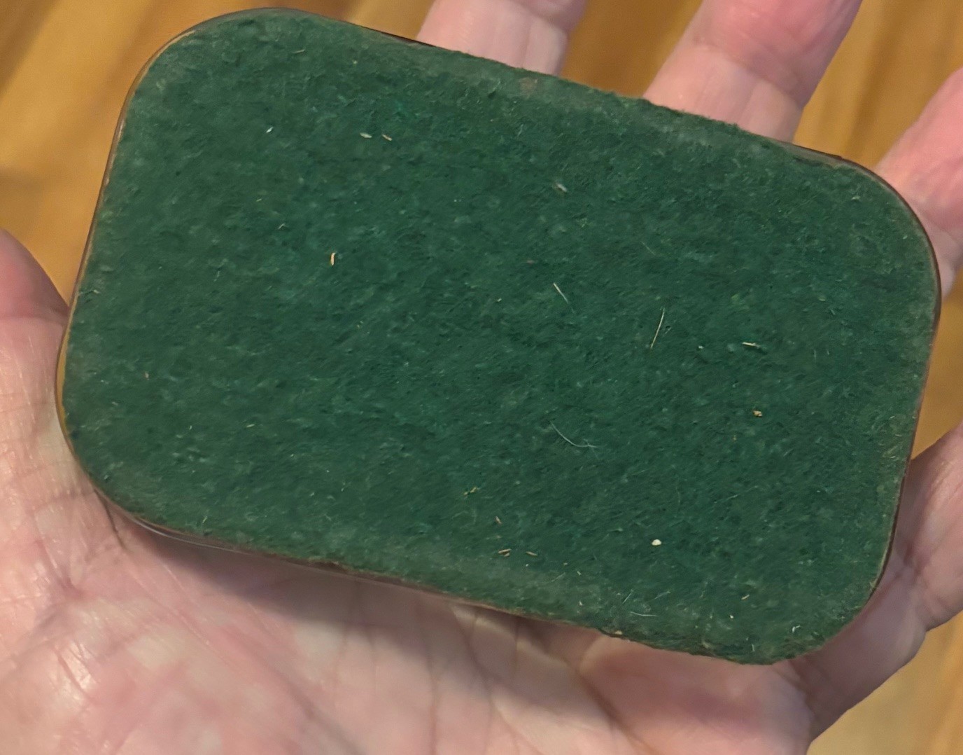 Vintage 1950s Silver Springs Florida Souvenir Glass Paperweight