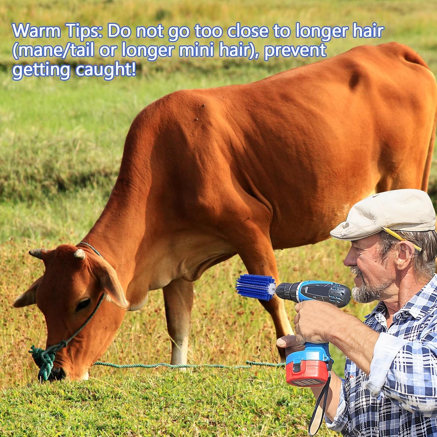 Livestock Scratching Mini Roto Drill Brush Attachment For Horse 7in, Blue