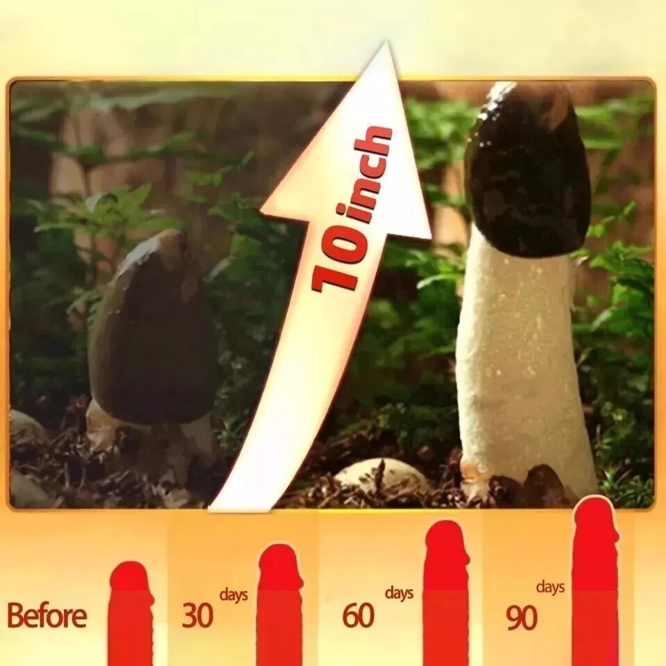 1.7oz Haitian GRES CACAO with ORGANIC 100% Natural Extract Oil, Longer & thicker