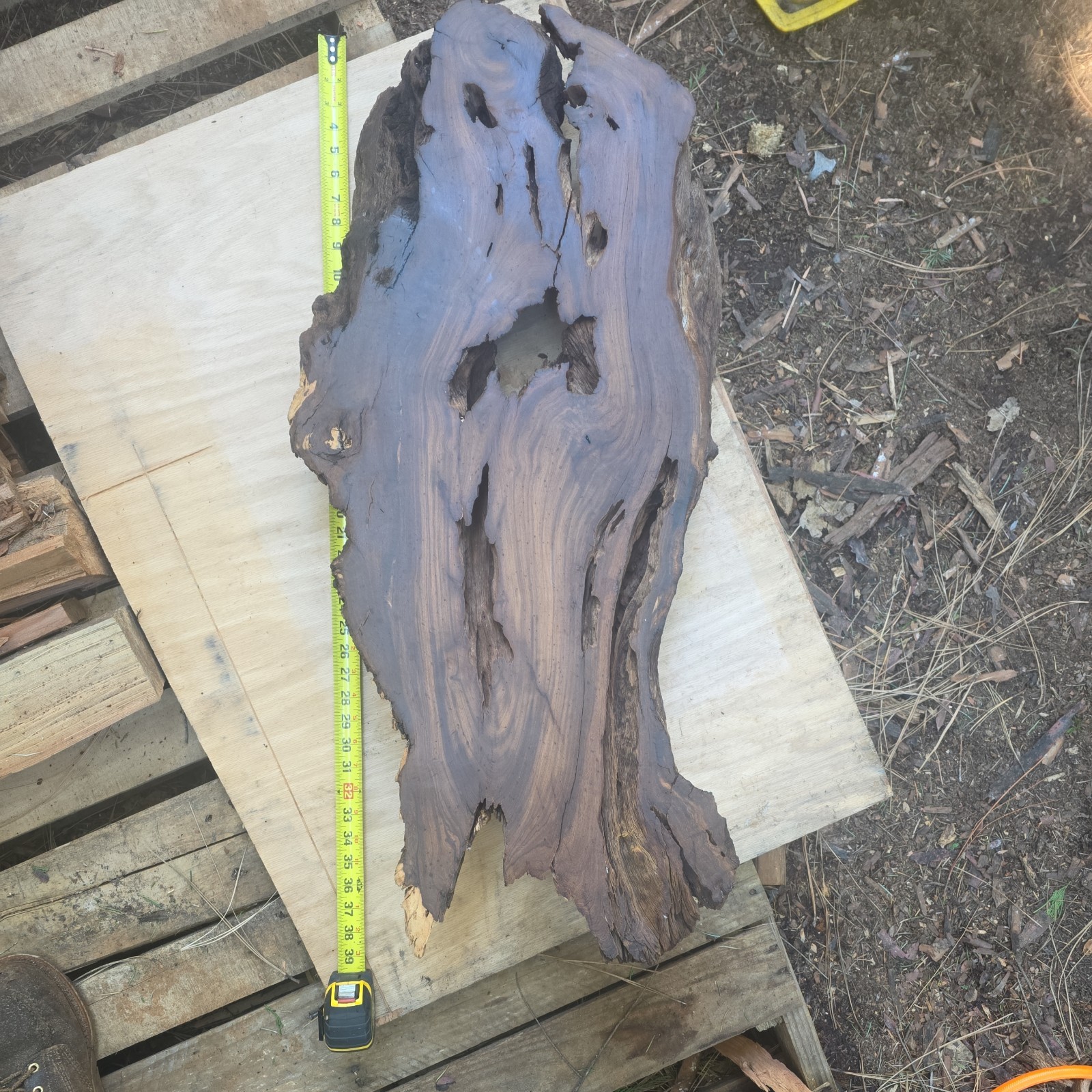 Desert Ironwood Live Edge Slab Epoxy Resin River Table Woodworking Art Mill Log