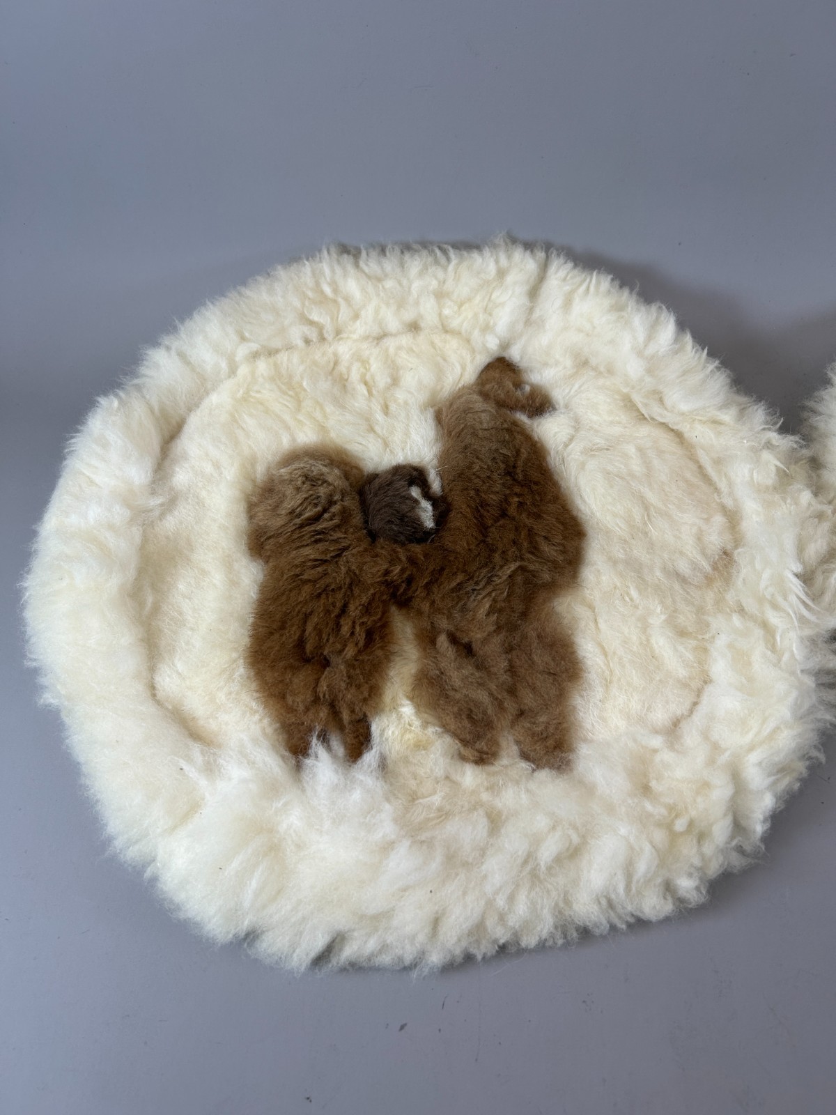 Set of 2 Alpaca Fur Round Rug Wall Hanging Decoration Pillow Cover 18" Peru