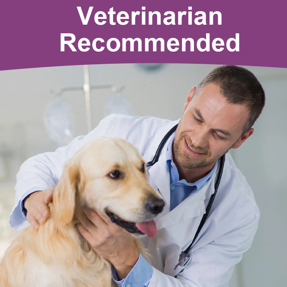 150 Soft Chews of Pumpkin + Anal Gland Support Supplement for Dogs No Scoot