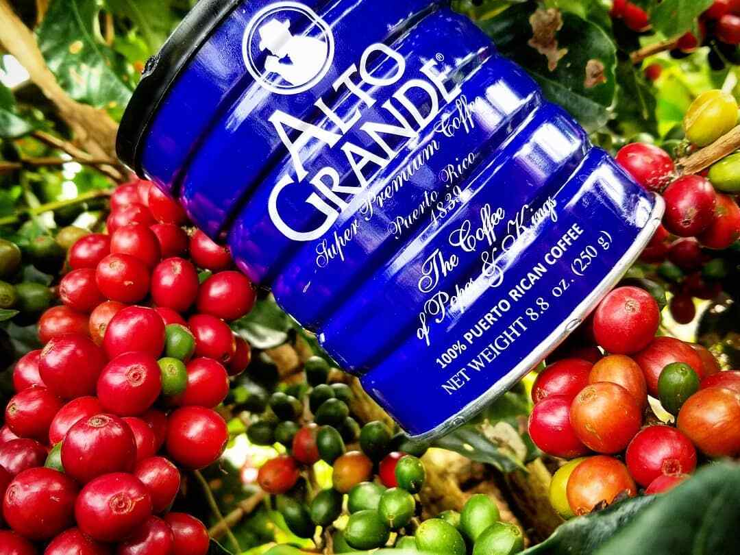 Alto Grande Coffee Super Premium Ground Coffee From Puerto Rico, 8.8 Ounce