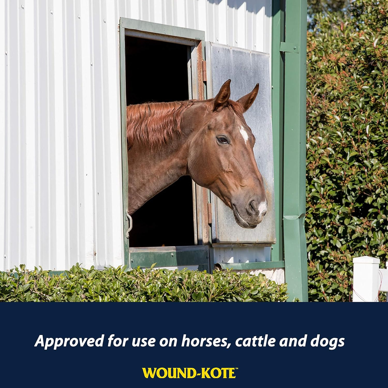 Wound-Kote Blue Lotion Spray Horse Wound Care for Use on Horses and Dogs, Antise