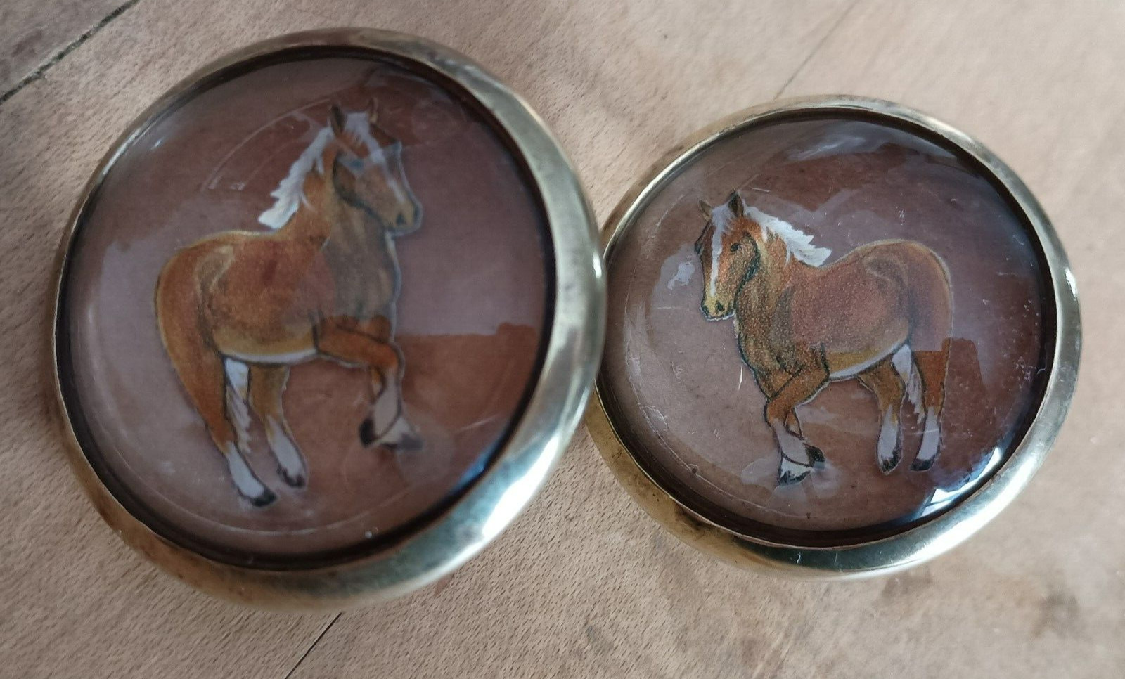 Bridle Loop Rosettes Haflinger for Headstall Harness Glass Dome and Brass