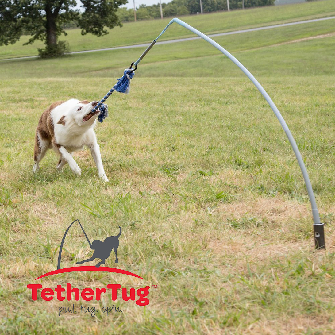 Tether Tug V2 Outdoor Dog Interactive Toy Tugging Pull Exercise 5-70 lbs and Up