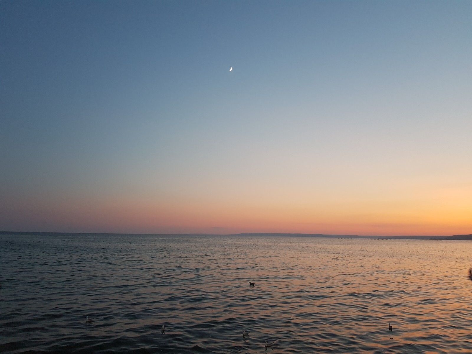 Picture Image Photo Wallpaper Background Beautiful Art Digital # 396