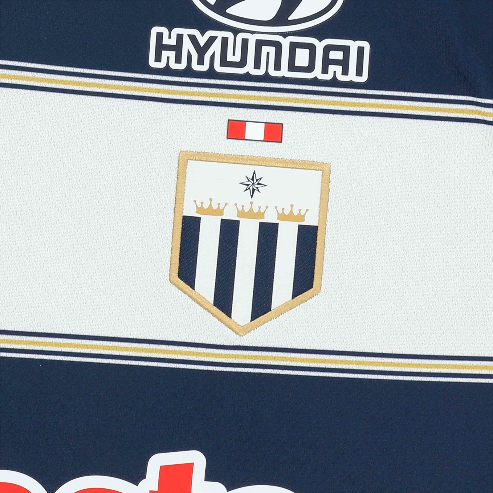 CAMISETA COLECCION Alianza Lima 125 AÑOS PLATA - Con Sponsor