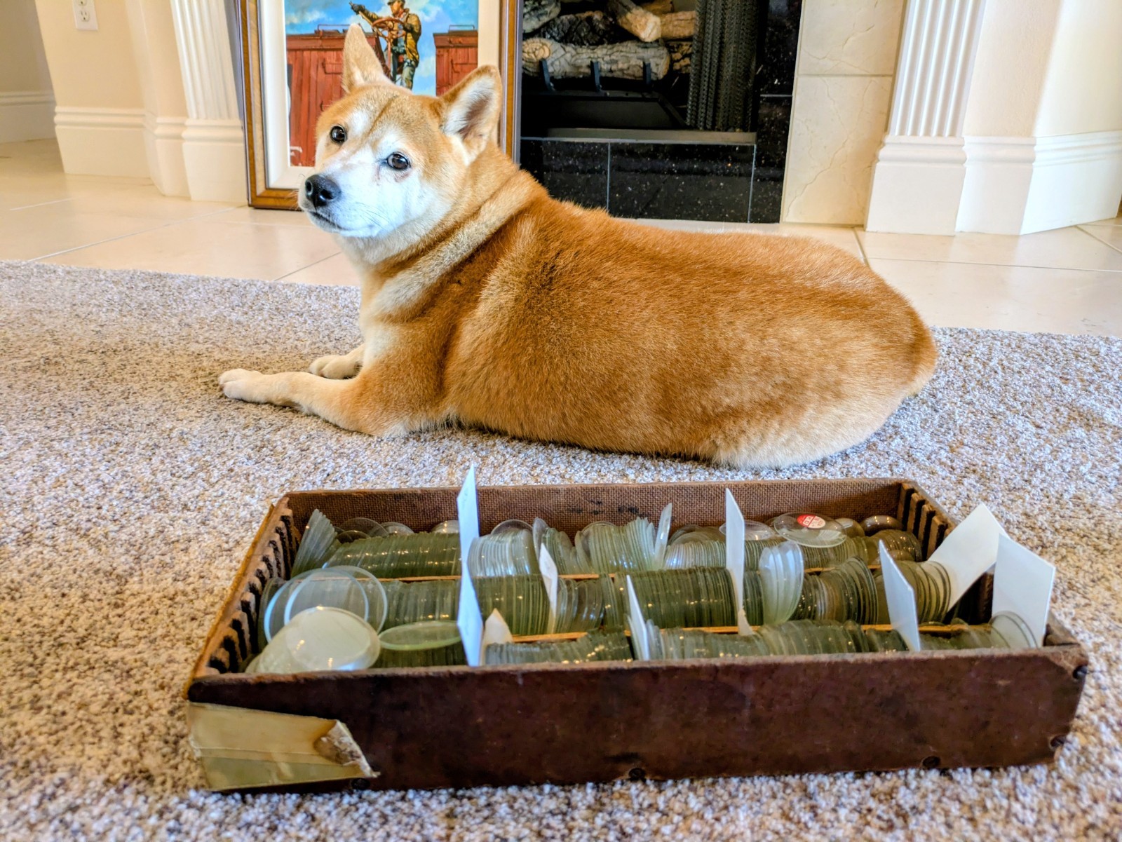 Pocket Watch Crystals, Multiple Sizes, Thousands Available, 3 Lenses / Set, NOS