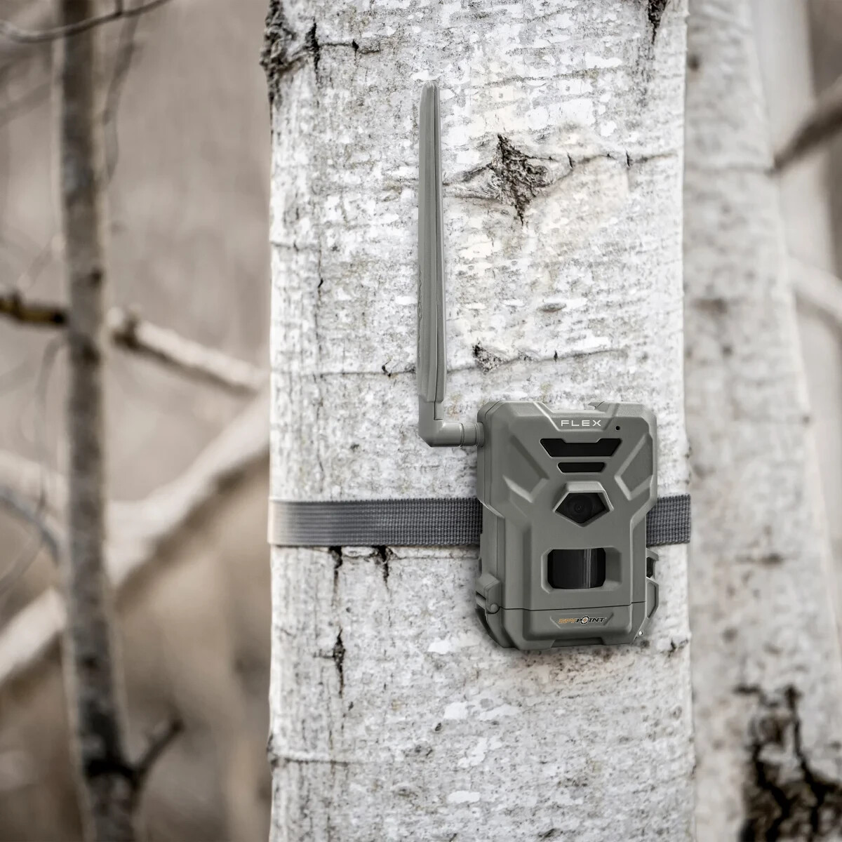 SpyPoint Cellular Camera Flex G-36C Elite Bundle 36 MP 1080P All Carriers No Fee